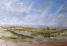 Dartmoor watercolour painting - dartmoor,