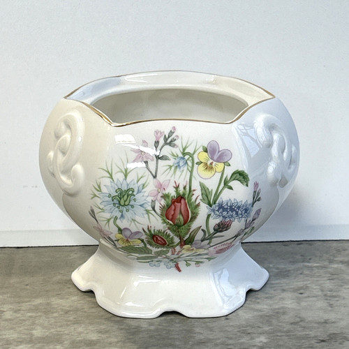 Aynsley wild tudor rose - aynsley,
