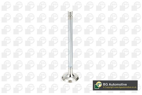 Exhaust valve for - exhaust,