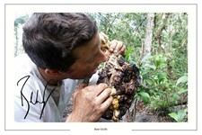 Bear Grylls TV Presenter