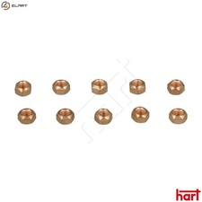 NUT EXHAUST MANIFOLD 054 406