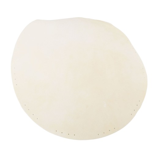 Bongo drum head - head, skin
