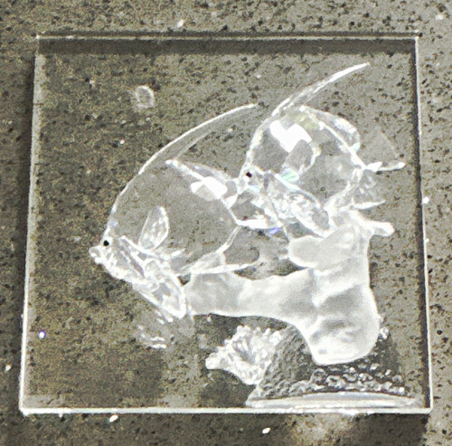 Swarovski wonders the - swarovski, of
