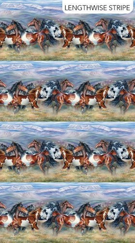 Horse wild free border - border, style