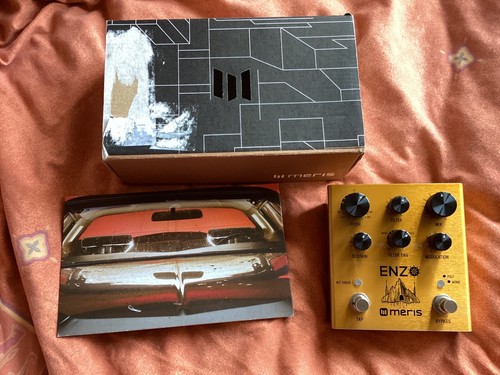 Meris enzo guitar - meris,