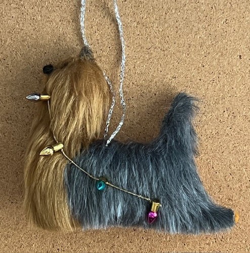 Yorkshire terrier with - terrier,