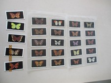 Abdulla & Co. British