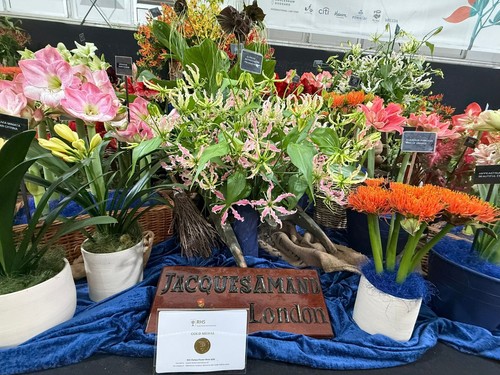 Chelsea flower show stock - ex,
