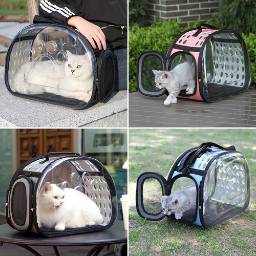 Clear cat dog puppy - dog, carrier