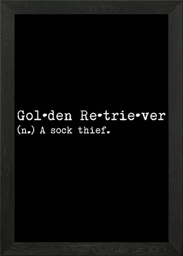Retriever dog sock thief - retriever,