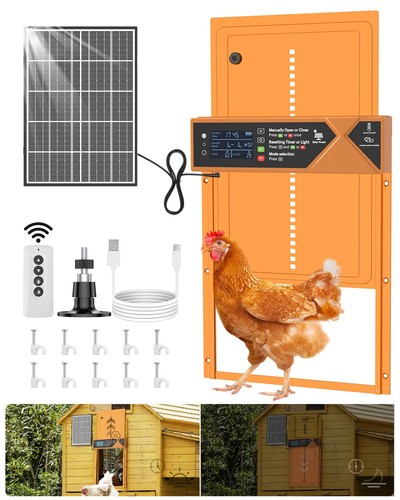 Large automatic chicken - large,