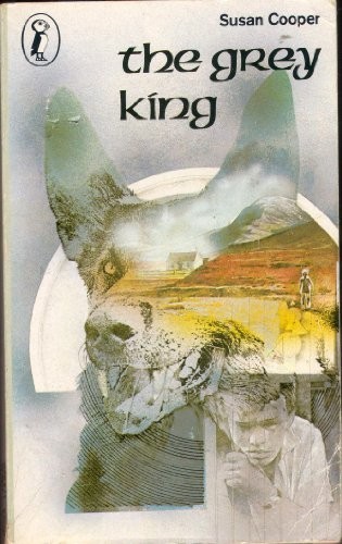 The grey king - (puffin, books)