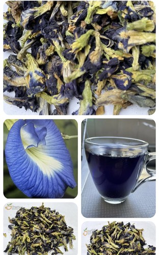 Blue butterfly pea flowers - blue,