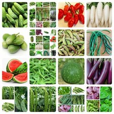 Asian/Bangladeshi Vegetable Seeds,Bottle Gourd,okra,Karela Bean seeds New 2025