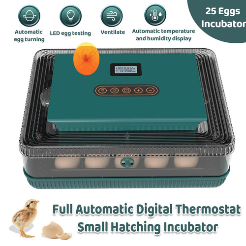 New fully automatic egg - fully,