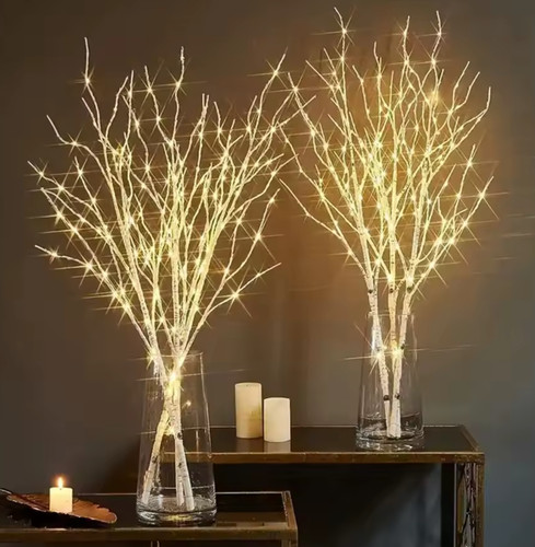 White birch branch - birch,