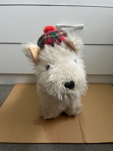 White westie puppy dog - puppy,