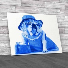 Fashionable Female English Bulldog In Stylish Blue Canvas Print Large Picture