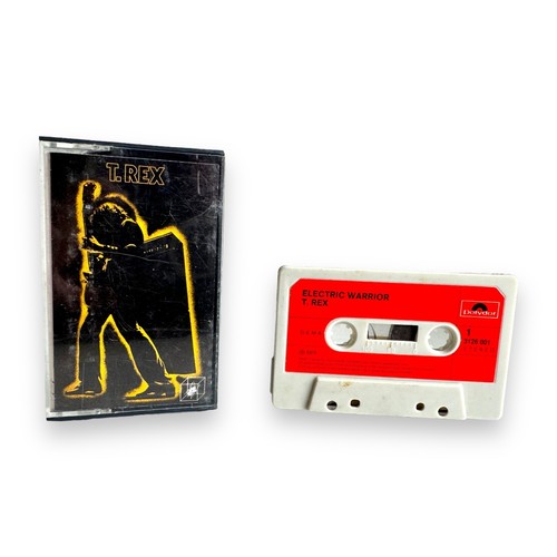 Rex electric warrior - rex,
