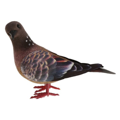 Pigeon realistic model - pigeon,