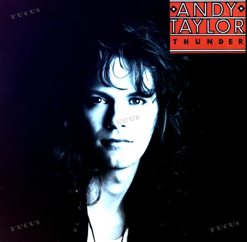 Andy taylor thunder lp - andy,