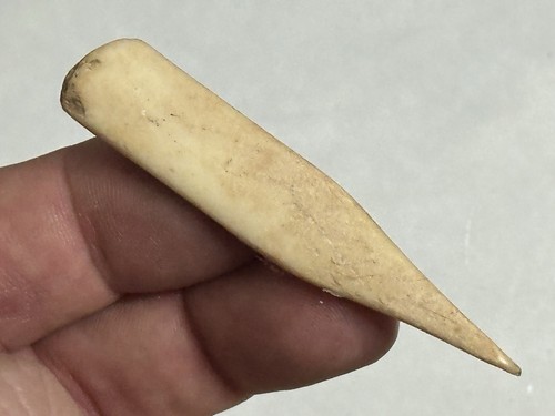 Amazing polished deer bone - polished,