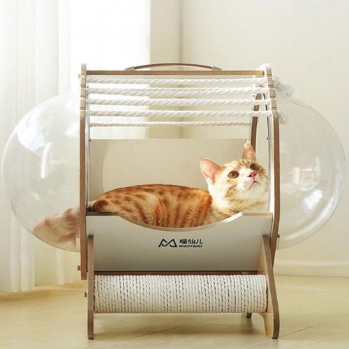 Capsule cat bed - capsule,