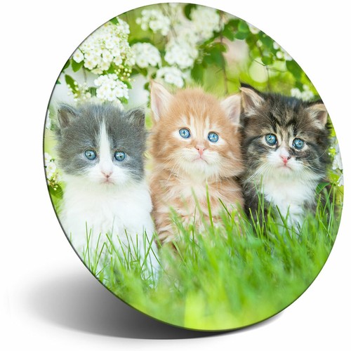 Awesome fridge magnet - fridge,