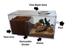 New Style Ant Farm Combination