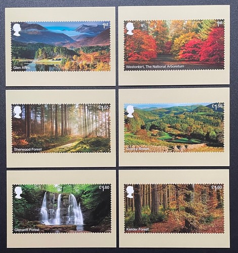 2019 forests phq cards card - 2019,