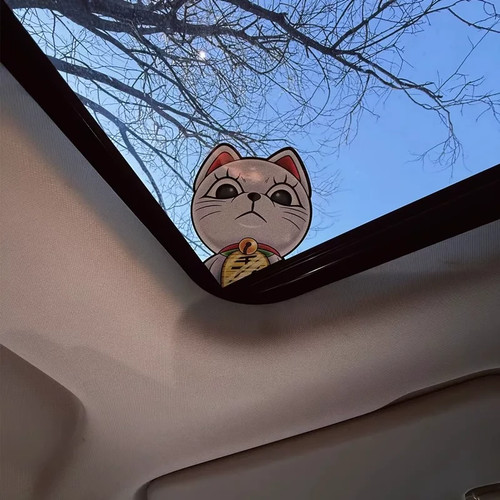 Lucky cat turbo granny car - cat,