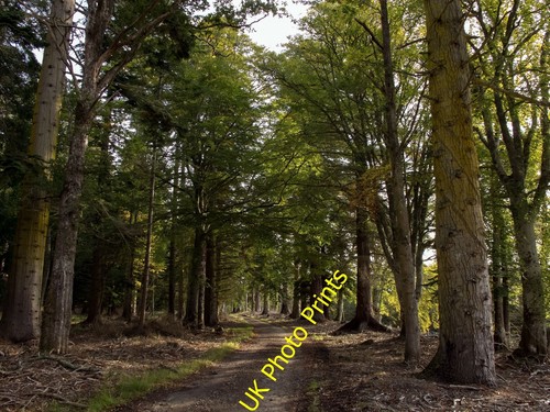 Photo 6x4 fairburn - photo, estate