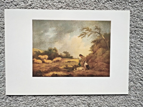 Boy tending sheep george - boy,