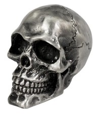 Cracked Skull Ornamental