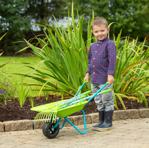 Metal wheelbarrow garden - wheelbarrow,