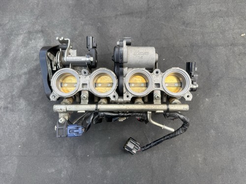 Yamaha 13s throttle bodies - r6,