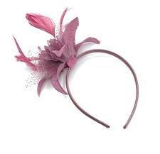 Feather Aliceband Fascinator