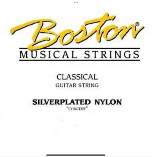 Boston 042 silver plated - silver,