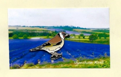 Rspb pin badge goldfinch - pin,