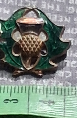 Vintage enamel cap badge lapel - badge,