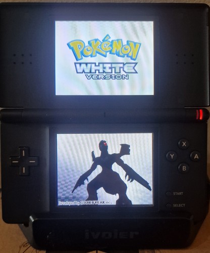Card for nintendods - for, works
