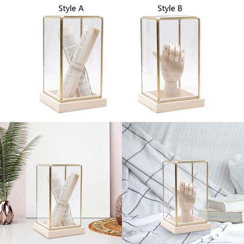 Countertop display case - countertop,