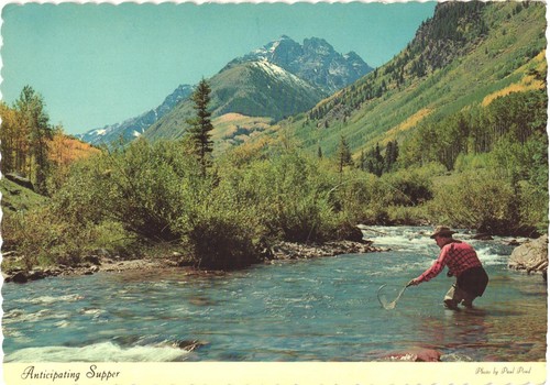 Fly fishing mountain stream - mountain,