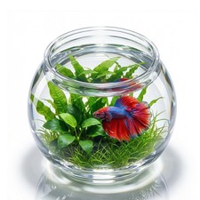 Plastic Aquarium Betta Fish
