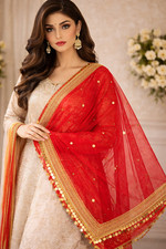 Net Dupatta with Sitara Lace