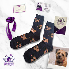 BORDER TERRIER FUN SOCKS UNISEX ONE SIZE FIT UK ADULT SHOE SIZE 5- 11 EU 38-46