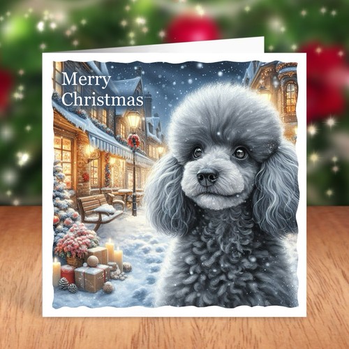 Miniature poodle dog christmas - miniature,