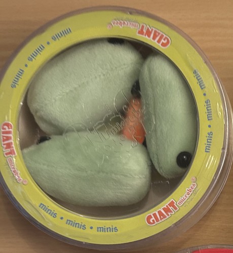 Giant microbes petri - petri, dish