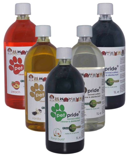 Kennel cattery cleaner - cattery,