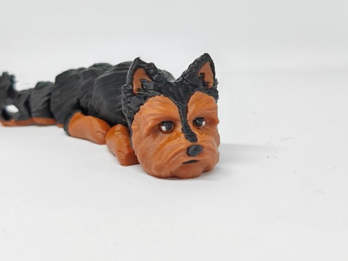 Tiny yorkie big charm - 🐾,